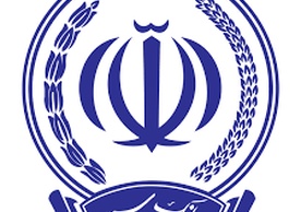 article-image